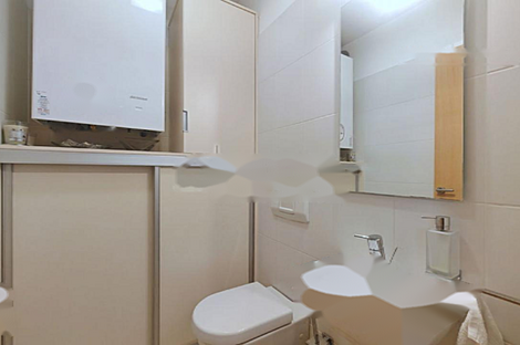 Квартира с более чем пятью комнатами на Руднике.: 4