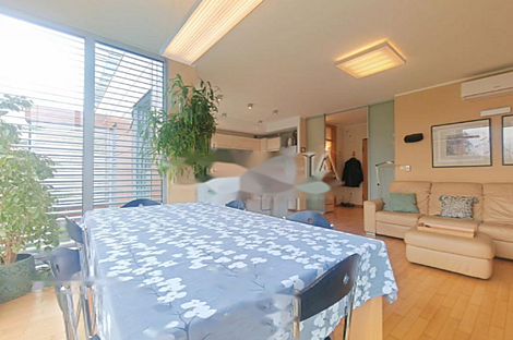 Квартира с более чем пятью комнатами на Руднике.: 12