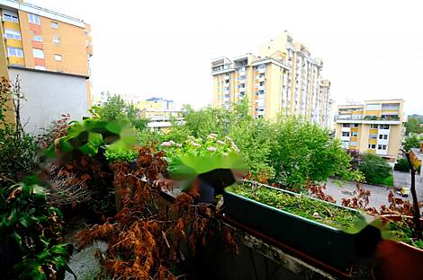 Квартира с 4,5 комнатами в районе Бежиград.: 17