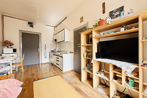 Двухкомнатная квартира в Любляне, район Шишка.: 3