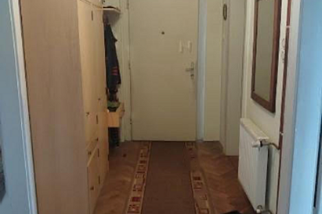 Трёхкомнатная квартира, Шишка.: 2