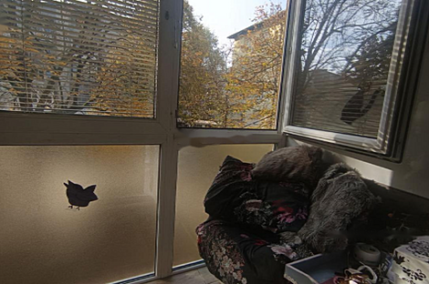 Квартира с двумя комнатами в Зеленой Яме: 25