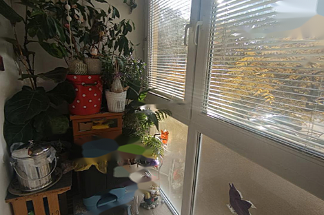 Квартира с двумя комнатами в Зеленой Яме: 26