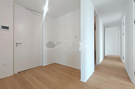 Квартира с четырьмя комнатами в Шишке: 10