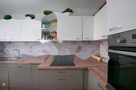 Трехкомнатная квартира Шишка: 5