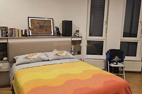 Четырехкомнатная квартира на Копер: 9