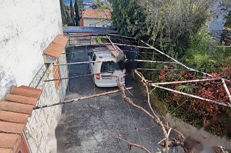 Копер, 4-комнатная квартира: 20