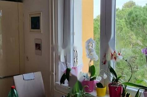 Квартира с тремя комнатами в Изоле: 3