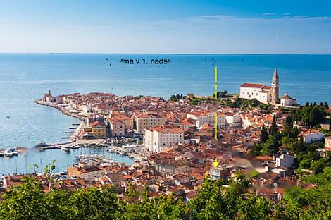 Квартира-студия в Пиране у побережья: 3