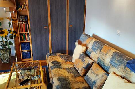 4-комнатная квартира Ливаде: 20