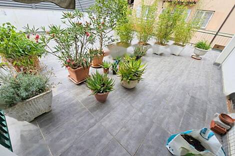 Трёхкомнатная квартира в Копере: 13