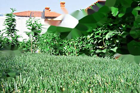 2,5-комнатная квартира по адресу Малия 96А.: 11