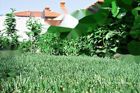 Малия 96Б, квартира: 12