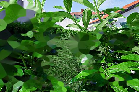 Малия 96Б, квартира: 13