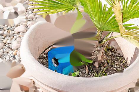 Квартира с одной комнатой в Лучии: 2