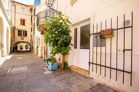 Однокомнатная квартира в центре Пирана: 7