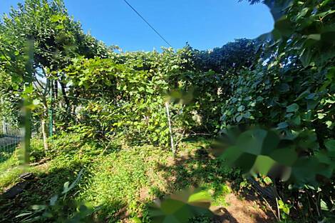 Квартира с тремя комнатами в Шмарье: 2