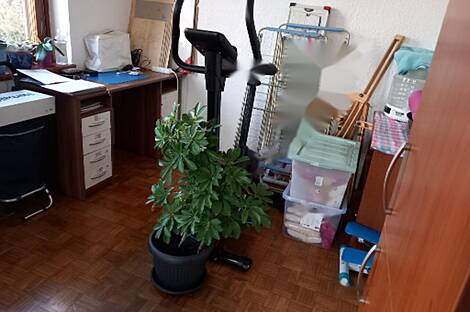 Квартира с четырьмя комнатами в Изола: 11