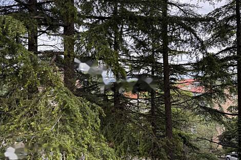 Квартира с четырьмя комнатами в Копере: 2