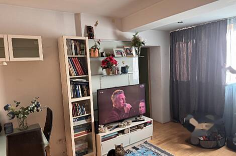 Трёхкомнатная квартира в Изоле: 10