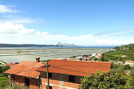 Квартира с двумя комнатами Сеча: 1