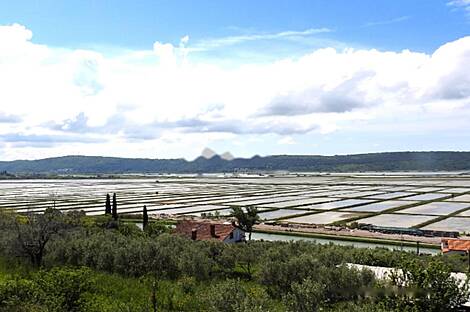 Квартира с двумя комнатами Сеча: 3