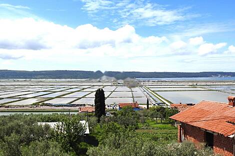 Квартира с двумя комнатами Сеча: 4