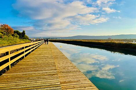 Квартира с пятью комнатами и бассейном.: 3