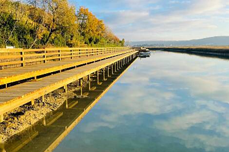 Квартира с пятью комнатами и бассейном.: 4