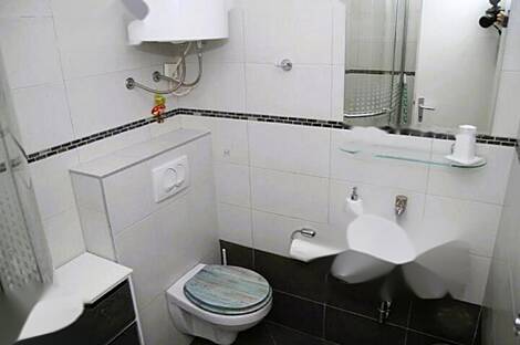 Трехкомнатная квартира на Копер.: 9