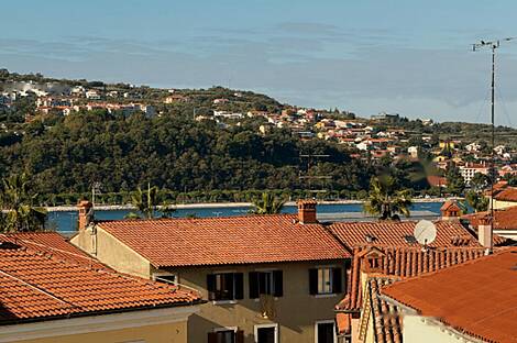 Квартира с количеством комнат от пяти и более.: 2