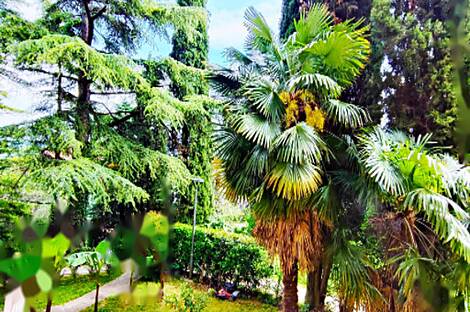 Квартира Марковец с четырьмя комнатами: 8