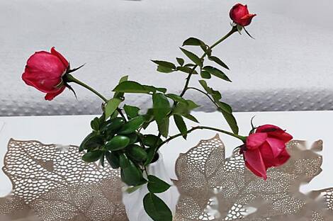 Квартира с тремя комнатами Бертоки: 17