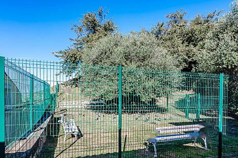 Трехкомнатная квартира в Пиране: 2