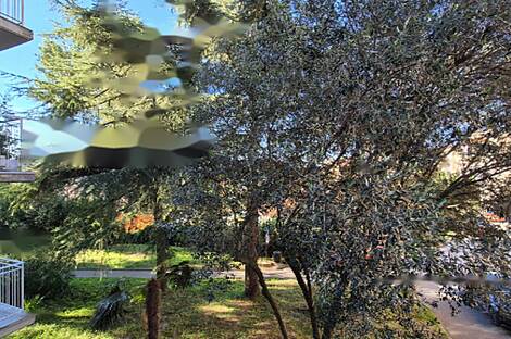 Квартира с одной комнатой в Новом Пиране: 2