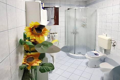 Четырехкомнатная квартира в Новых Нижних Шкофиях: 6