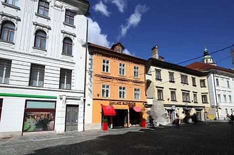 Жилище в Старой Любляне: 25