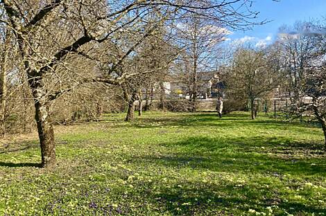 Жилище на улочке, выложенной кирпичом: 5