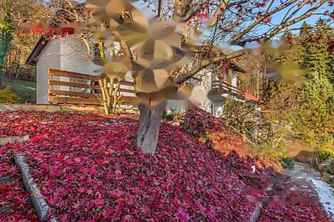 Жилище, Чрнуче: 25