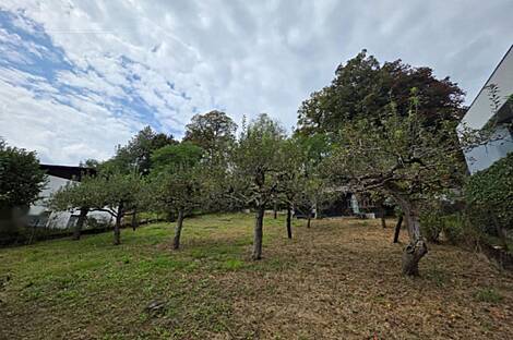 Квартира, Любляна, Шишка: 3