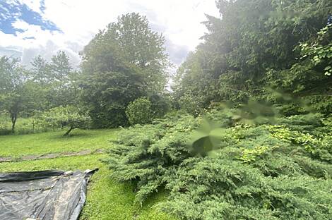 Жильё, Трново: 1