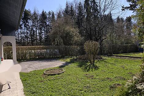 Усадьба, Дравле: 11