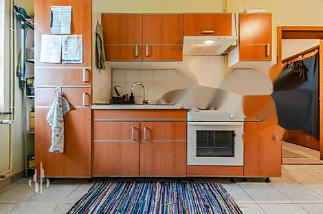 Дом в районе Мосте, Любляна: 7