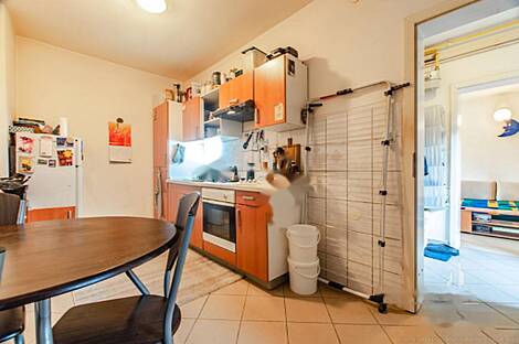 Дом в районе Мосте, Любляна: 14