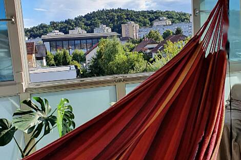 Жилье, СП. Шишка.: 7