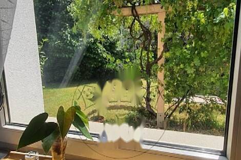 Здание Дравле: 15