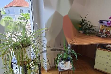 Здание Дравле: 21