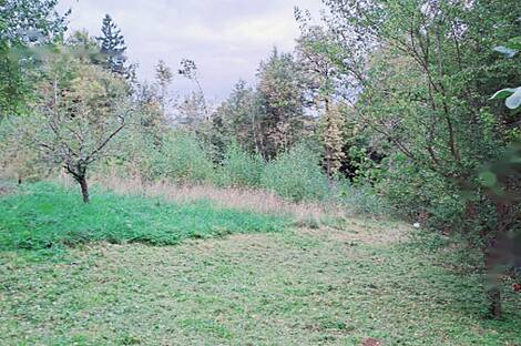 Здание, Явор, Любляна, Добрунье: 8