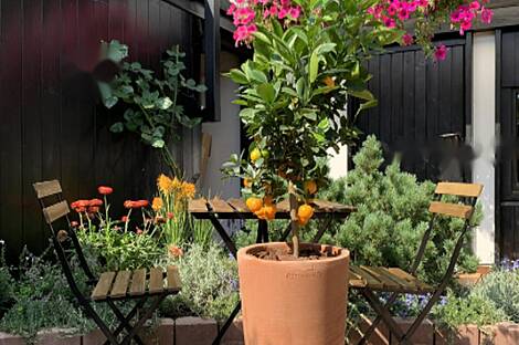 Жилище с террасой Мургле: 7