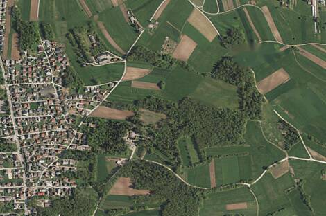 Жилище, Новое Поле: 1